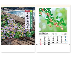 y 25z J_[ 2026N ߘa8N Ǌ| {̎R쑐 TD-818@1886~@ 50 100 150 200 250 ߂ \  Ж c̖  bg ꖳ 