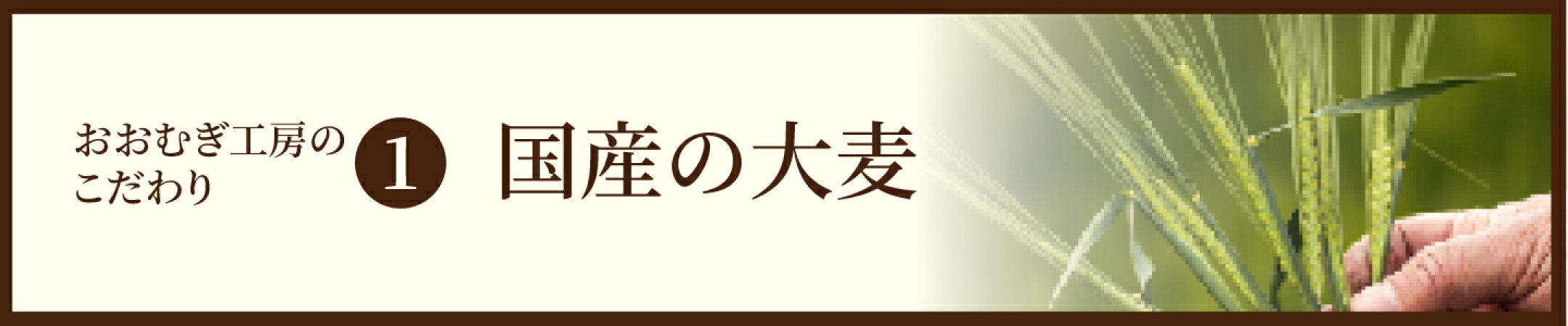 おおむぎ工房のこだわり1　国産の大麦