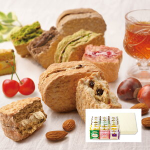 唞_N[YՂZbg 824 ʏ픠yނH[z Oet[ sgp Y唞100 _bN[Y  唞 h XC[c  Mtg v[g 