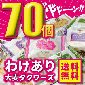 y󂠂z ނH[ 唞_N[Y 70 yނH[z p Oet[ sgp Y唞100 _bN[Y  唞 h XC[c  Mtg v[