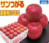 【9月りんご第1弾】【常温便送料無料】青森りんご サンつがる 家庭用 10キロもぎたて りんご 林檎 Apple…