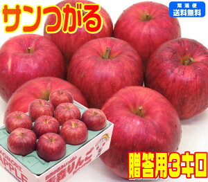 y9񂲑1ezy퉷֑zX T p 3L  ь Applei̒łȂ̖Â͓IXĂYnI̖