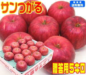 y9񂲑1ezy퉷֑zX T p 5L  ь Applei̒łȂ̖Â͓IXĂYnI̖
