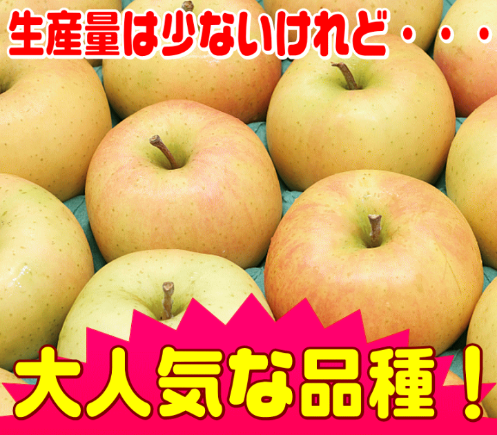 楽天市場】【常温便送料無料】10月りんご期待の新生 トキ 家庭用10