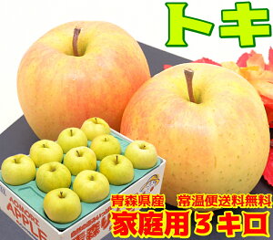 【常温便送料無料】10月りんご期待の新生 トキ 家庭用 3キロ人気急上昇!果肉の硬さと甘味が特徴!青森県からもぎたてを産地直送!Proりんご 林檎 毎日のフルーツやコールドプレスやス