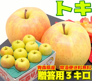 【常温便送料無料】10月りんご期待の新生 トキ 贈答用 3キロ人気急上昇!果肉の硬さと甘味が特徴!青森県からもぎたてを産地直送!Pro毎日のフルーツや贈り物にも♪熟練スタッフが一粒