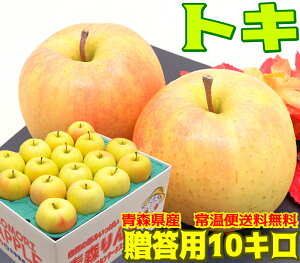 【常温便送料無料】10月りんご期待の新生 トキ 贈答用10キロ人気急上昇!果肉の硬さと甘味が特徴!青森県からもぎたてを産地直送!Pro毎日のフルーツや贈り物にも♪熟練スタッフが一粒一