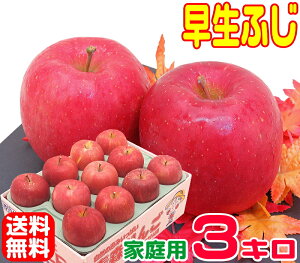 【常温便送料無料】10月りんご早く成熟する品種 早生ふじ 家庭用 3キロさっぱりと、ふじに似た風味♪訳あり青森県からもぎたてを産地直送!16りんご 林檎 毎日のフルーツやコールドプレ