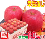 【常温便送料無料】10月りんご早く成熟する品種 早生ふじ 家庭用10キロさっぱりと、ふじに似た風味♪訳あ…
