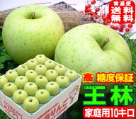 ★高糖度 王林 家庭用10キロ常温便送料無料【ご注文順に順次発送中！】芳醇な香りと甘み！高糖度内部品質…
