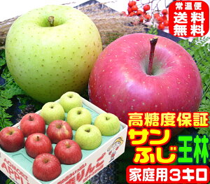 IxTӂ lƒp 3L퉷֑y11{菇zApple12̖킢̃t[cɐX 16񂲂̖{XYn i