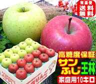 ★高糖度サンふじ王林 詰合せ家庭用10キロ常温便送料無料【ご注文順に順次発送中！】Apple1箱で2つの味わ…
