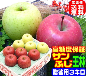IxTӂ lp 3L퉷֑y11{菇zAppleIꂽIigp Ε  XnX^btꗱꗱII 16 