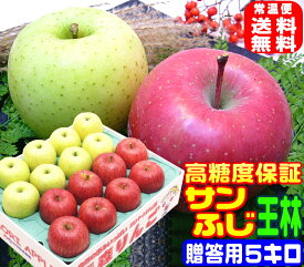 ★高糖度サンふじ王林 詰合せ贈答用 5キロ常温便送料無料【ご注文順に順次発送中！】Apple厳選された特選品だけを使用 お歳暮 りんご 専門店熟練スタッフが一粒一粒厳選！ 16 おいしい セット内部保証＆高糖度 林檎の本場青森県から産地直送 甘い 冬果物