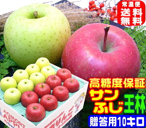 IxTӂ lp10L퉷֑y11{菇zAppleIꂽIigp Ε  XnX^btꗱꗱII 16 