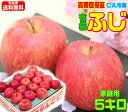 A【常温便送料無料】グルメ大賞受賞品種 有袋ふじ 家庭用 5キロ りんご 青森りんご ふじりんご 青森県から産地直送いたします!当店一番人気サンふじと同じ品種!...