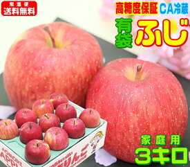 グルメ大賞7度受賞のサンふじと同じ品種！【常温便送料無料】高糖度有袋ふじ 家庭用 3キロ高糖度選別・鮮度抜群・CA貯蔵りんご Apple 産地直送青森県産 フルーツ コールドプレスやスムージーにも♪Pro 青森りんご 訳あり 健康 さっぱりとおいしい 15