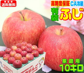 グルメ大賞7度受賞のサンふじと同じ品種！【常温便送料無料】高糖度有袋ふじ 家庭用10キロ高糖度選別・鮮度抜群・CA貯蔵りんご Apple 産地直送青森県産 フルーツ コールドプレスやスムージーにも♪Pro 青森りんご 訳あり 健康 さっぱりとおいしい 15