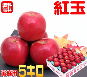 【常温便 送料無料】お菓子作りに最適小さな 紅玉 家庭用 5キロ箱内容量は約4.2キロになりますお菓子作りの人気者りんごの本場青森県から産地直送煮ても煮崩れしにくく!アップルパイ作