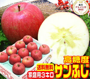 IO7x xTӂƒp 3L퉷֑y11{菇zYnXԐlCi  {̌b  Pro Apple Â XY 