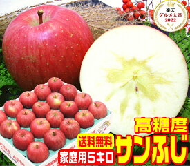★グルメ大賞7度受賞 高糖度サンふじ家庭用 5キロ常温便送料無料【11月末から12月中旬に順次発送】産地直送当店一番人気品種 おいしい 旬の恵み りんご Proもぎたて Apple 甘い 青森県産 ふじ フルーツ 16訳あり 健康 コールドプレス スムージーにも