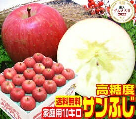 ★グルメ大賞7度受賞 高糖度サンふじ家庭用10キロ常温便送料無料【11月末から12月中旬に順次発送】産地直送当店一番人気品種 おいしい 旬の恵み りんご Proもぎたて Apple 甘い 青森県産 ふじ フルーツ 16訳あり 健康 コールドプレス スムージーにも