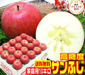 IO7x xTӂƒp10L퉷֑y11{菇zYnXԐlCi  {̌b  Pro Apple Â XY 
