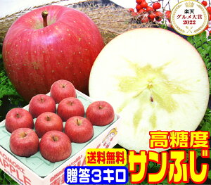 IO7x xTӂp 3L퉷֑y11{菇zYnIꂽIigp Pro t[cnX^btꗱꗱI 