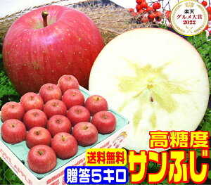 IO7x xTӂp 5L퉷֑y11{菇zYnIꂽIigp Pro t[cnX^btꗱꗱI 