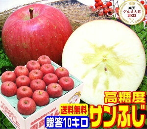 IO7x xTӂp10L퉷֑y11{菇zYnIꂽIigp Pro t[cnX^btꗱꗱI 