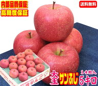 楽天グルメ大賞7度受賞品種【常温便送料無料】高糖度 大玉サンふじ 家庭用　5キロ当店一番人気品種 大玉…
