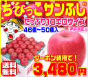 C【500円OFFクーポン配布中！】ちびっこサンふじ 10キロサイズ ふじりんご りんごの本場青森県から産地直送♪ 1箱にりんごが沢山♪食べ応え有！ 毎日のジュ... ランキングお取り寄せ