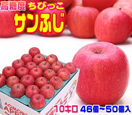 ★グルメ大賞7度受賞品種 高糖度ちびっこサンふじ家庭用10キロ常温便送料無料 食べきりサイズ！【1箱に46…