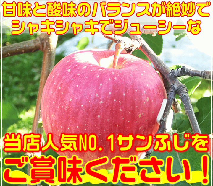 【サンふじ】【✨高糖度✨】青森県産‼️サンふじ　りんご　7.5キロ　送料無料 りんご サンふじ 青森産 高糖度 JA津軽みらい 特選 36入り 約