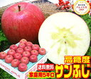 高糖度 サンふじ 家庭用 5キロ【ご注文順に順次発送中!】青森県産 産地直送 訳あり りんご当店一番人気品種 青森りんご ふじりんご毎日のフルーツや健康のため♪...