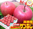 グルメ大賞2018受賞 高糖度 サンふじ 家庭用 5キロ 青森県産 産地直送 青森りんご ふじりんご 訳あり りんご 当店一番人気品種 ご注文順に順次発送中!毎...