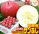 【ご注文順に順次発送中!】高糖度 サンふじ 家庭用10キロ青森県産 産地直送 訳あり りんご当店一番人気品種 青森りんご ふじりんご 林檎 毎日のフルーツや健康...
