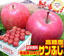 グルメ大賞2018受賞 高糖度 サンふじ 家庭用10キロ 青森県産 産地直送 ふじりんご 訳あり りんご 当店一番人気品種 青森りんご ご注文順に順次発送中!林...