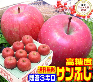 O7x xTӂp 3L퉷֑yɏIzYnIꂽIigp Pro t[cnX^btꗱꗱI  16 