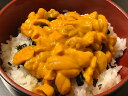 とれたての美味しさそのまま「塩水パックうに」(100g入）むらさきうにの上物を選別してお届けします！梅雨時がお勧めの逸品！獲れたての美味しさです　(北海道・小樽・余市・枝幸など)　(ウニ・雲丹)