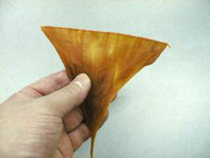 ΂(116gE①Ⓚ) WH̍ōiłIzn̒3ڂLFs①ւł͂܂ tƂɍ荂I