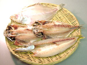 【送料無料】 特選干物 旬セット(真あじ2枚・かます2枚・かれい1枚)(冷凍(冷蔵)) 料亭鮨店に日々お届けしている私共が豊洲市場より出荷いたします (アジ・鯵・カマス・カレイ)