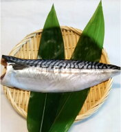 さば一夜干し(冷凍(冷蔵)1枚約200g・真空パック) 最高品質として知られている小西商店の甲印ブランド！脂…