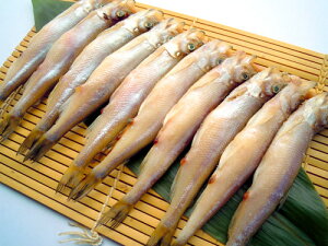 H̎qVV(10{1ZbgEⓀ(①)) (15cmE15`17g/{) Hu܂邩v̎qtIƋl܂ 肪Aǂ iႢ̎|INxƂĂǂI(k