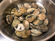 愛知・三重産あさり 約300g (冷蔵便) ジューシーでアサリから出る出汁がとても美味しい！お味噌汁や酒蒸…