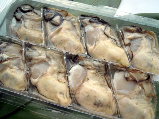2021人気の 南三陸町のブランド牡蠣 プレミアム生食用牡蠣 お多福 生 冷蔵 かき カキ 最大93%OFFクーポン 1パック8粒入 大粒の剥き牡蠣を選別し受け皿が作られたトレイの上に一つずつ並べています