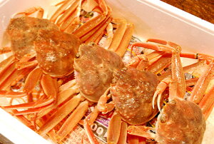 I (①) (1t150gUPTCY) OqEqEX܂ȂIɁu}v̗̊ǂIIѕl䥂ł܂iⓀjBLFsꂩoׁIOq̃VV