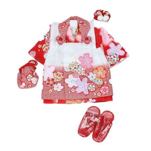 ܎OEAzR[gZbgEOΗpEiԁj+zR[g+В+++Ocg@