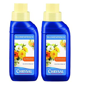 NU[ ؂ԗp  250mL 2{Zbg