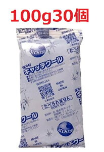 y܂Ƃߔ30ZbgzLb`N[ ۗ 100g 70mm×150mm { ۗ